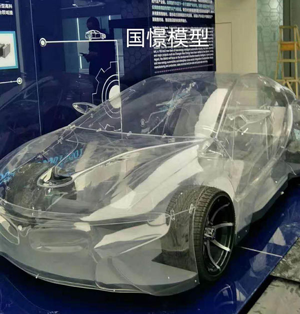 滦南县透明车模型